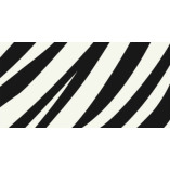 Abenteuer Tansania logo