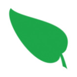 minzblatt - FINGERFOOD CATERING | EVENTS | KOCHSCHULE logo