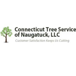 Connecticut Tree Service of Naugatuck LLC