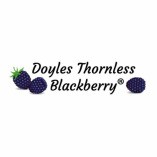 Doyles Blackberry Inc.