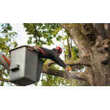 Church City Tree Service