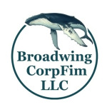 Broadwing CorpFin