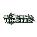 Tree Cutting & Trimming Oyster Bay