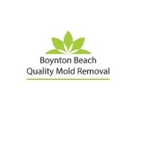 Boynton Beach Quality Mold removal