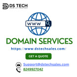 Domain Services available with 100% customer satisfaction