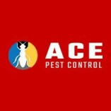 Ace Possum Removal Brisbane