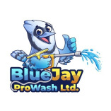 Blue Jay ProWash