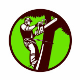 Colorado Springs Tree Service