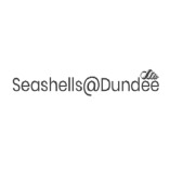 Seashells @ Dundee