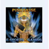 Push Pause E-Sports & Gaming Palace