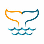 Whale Watching Tenerife