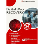 CONSULT DIGITAL WEB RECOVERY FOR IMMEDIATE CRYPTO SCAM RECOVERY