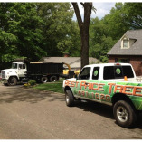 Best Price Tree Service