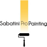 Sabatini Pro Painting