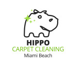 Hippo Carpet Cleaning Miami Beach