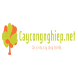 caycongnghiep