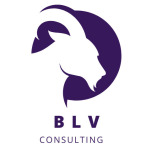 BLV Consulting Group