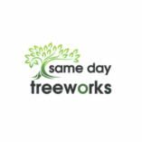 Same Day Tree Works