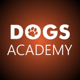 Dogs Academy