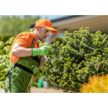 Santa Fe Trail Tree Service El Monte