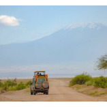 Kenya Safaris from United Kingdom