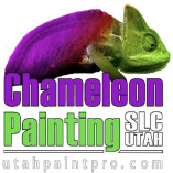 Chameleon Painting LLC