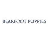 Bearfoot Puppies