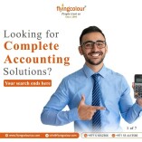 Flyingcolour Accounting Company in Dubai