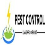 Pest Control Kangaroo Point