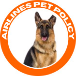 Airlines Pet Policy