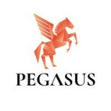 pegasusfunding