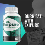 Exipure Results