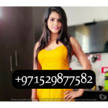 UAE Dubai Call Girls (0529877582) Call Girls Dubai