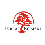 IkigaiBonsai