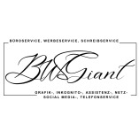 BWS Giant - Virtuelle Assistenz