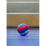 Volleyball Empire LLC