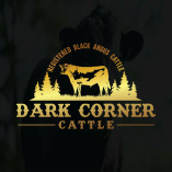 Dark Corner Cattle