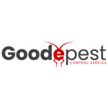 Goode Wasp Removal Canberra