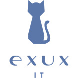 Exux IT-Dienstleistungen logo