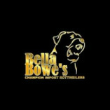 Bella Bowe’s Rottweilers