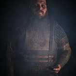 Die Vertriebswikinger logo