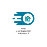 Asap Mold Inspection & Removal