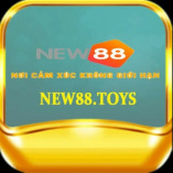 NEW88TOYS