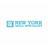 New York Mold Specialist - Mold Inspection, Removal & Remediation in New York