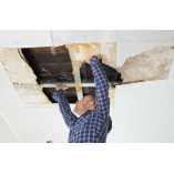 Mold Remediation Chandler Answers