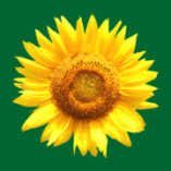 Kräuterhaus Sanct Bernhard KG logo