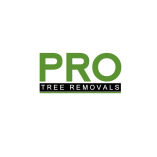 Pro Tree Removal Brisbane