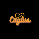 Caylus Merch