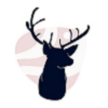 Web Design Columbia