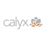 Calyx IT
